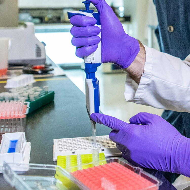 Design Your Project - Precision Antibody