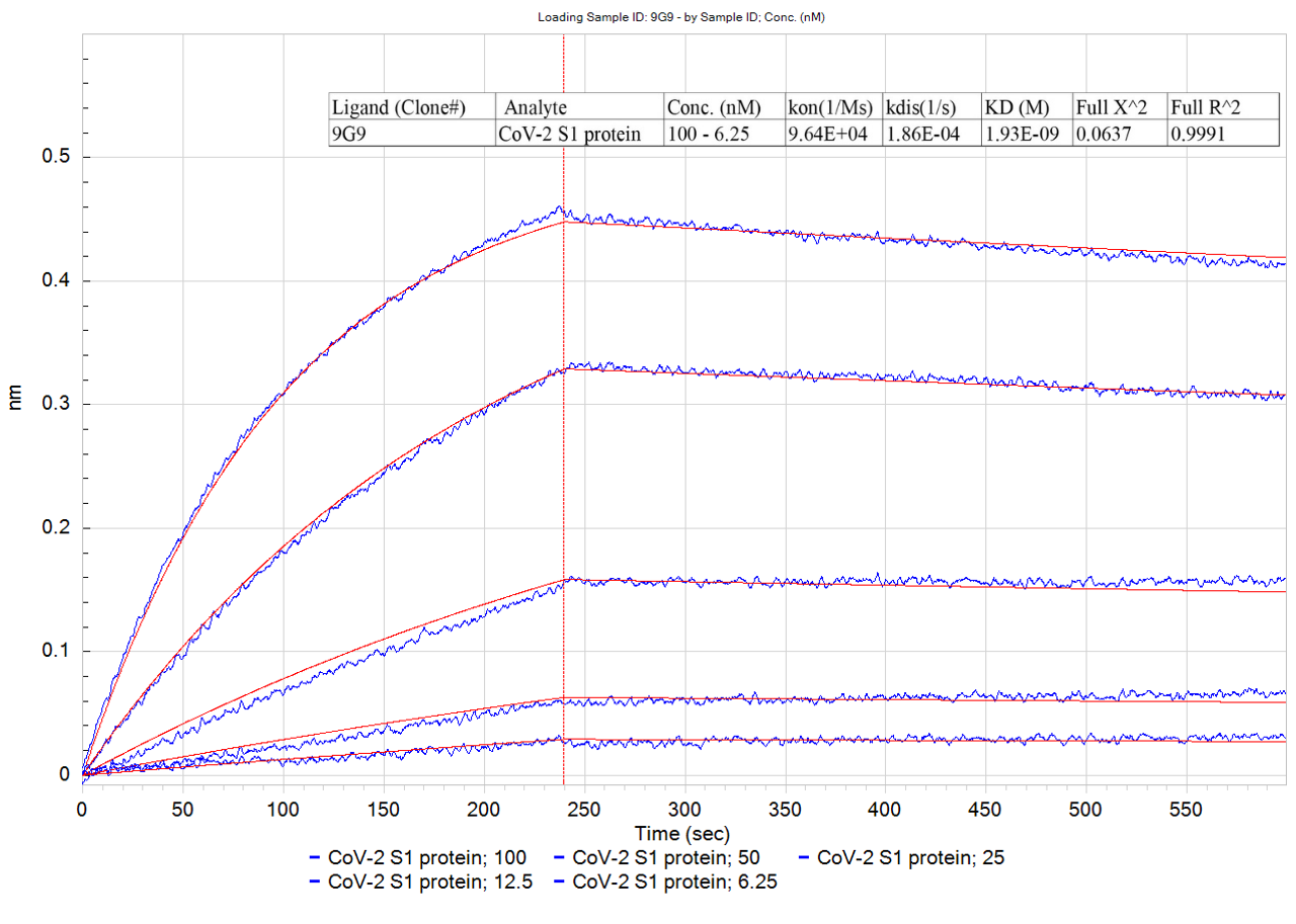 Example of Full Binding Kinetic Analysis