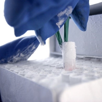 Cell Banking Services