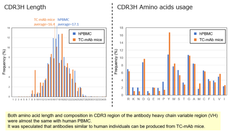 Monoclonal Antibody Development