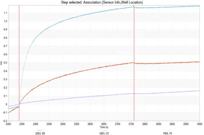 Anti Idiotypic Antibodies