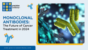 Monoclonal Antibodies: The Future of Cancer Treatment in 2024