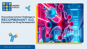 Overcoming Common Challenges in Recombinant IgG Expression for Drug Development