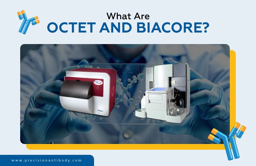 What Are Octet and Biacore?