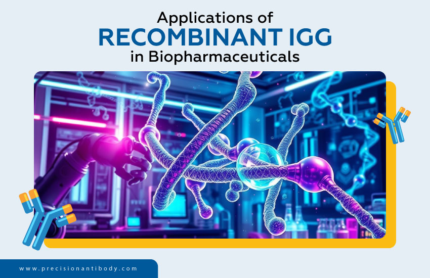 Applications of Recombinant IgG in Biopharmaceuticals