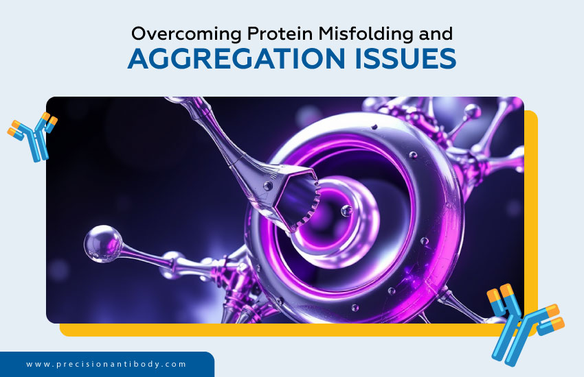 Overcoming Protein Misfolding and Aggregation Issues