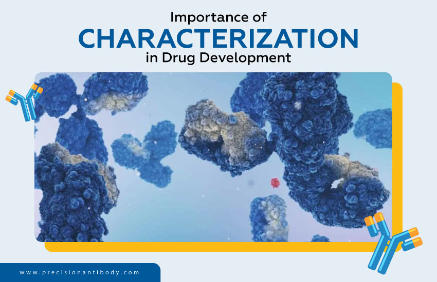 Importance of Characterization in Drug Development