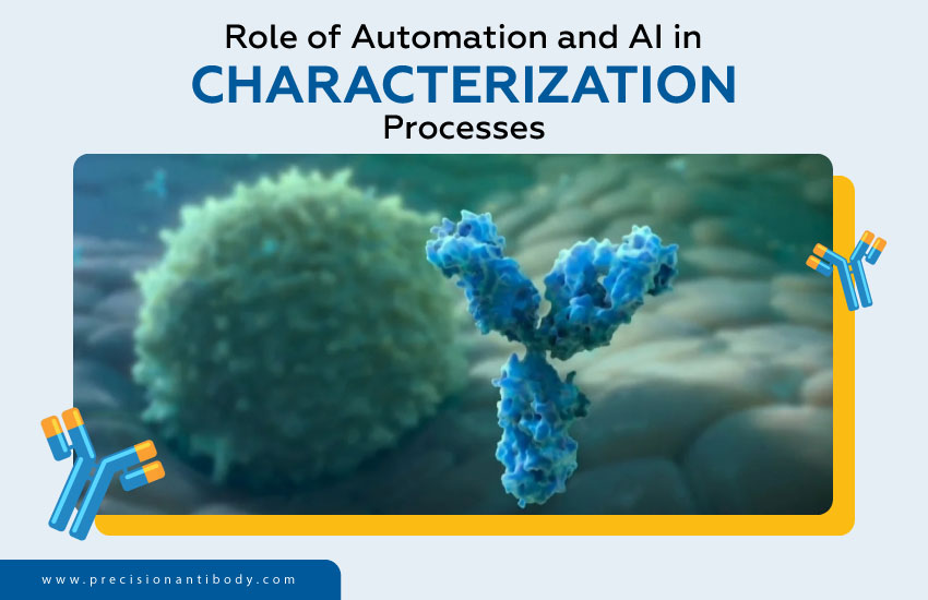 Role of Automation and AI in Characterization Processes