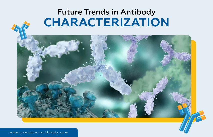 Future Trends in Antibody Characterization