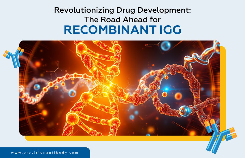 Revolutionizing Drug Development: The Road Ahead for Recombinant IgG