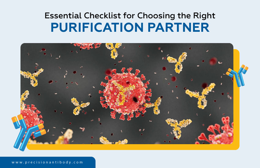 Essential Checklist for Choosing the Right Purification Partner
