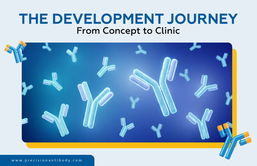The Development Journey - From Concept to Clinic
