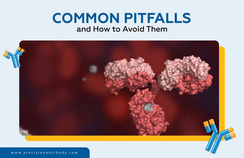 Common Pitfalls and How to Avoid Them
