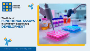 The Role of Functional Assays in Antibody-Based Drug Development