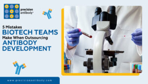5 Mistakes Biotech Teams Make When Outsourcing Antibody Development