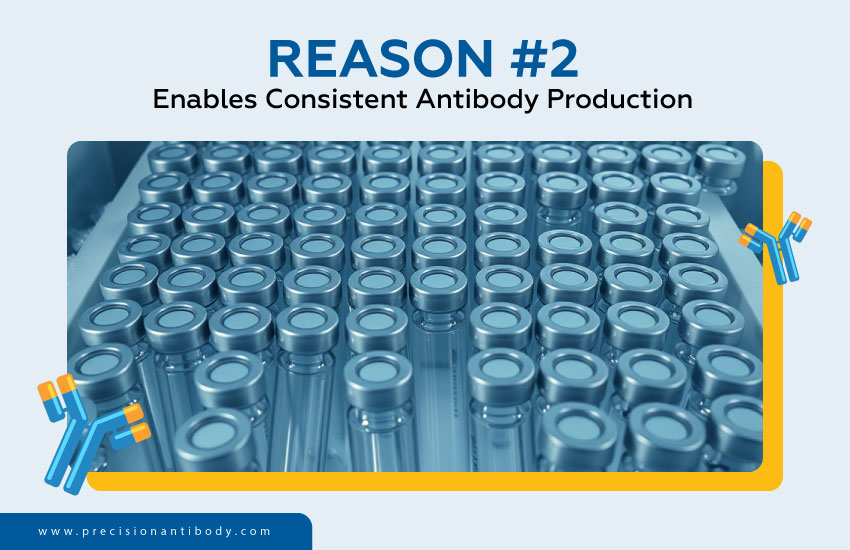 Reason #2 - Enables Consistent Antibody Production
