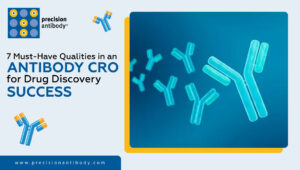 7 Must-Have Qualities in an Antibody CRO for Drug Discovery Success