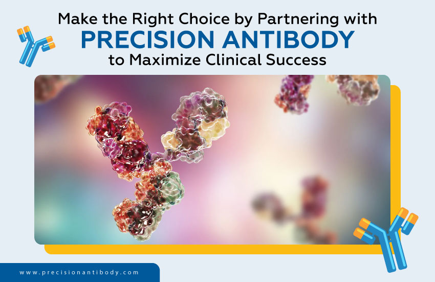 Make the Right Choice by Partnering with Precision Antibody to Maximize Clinical Success