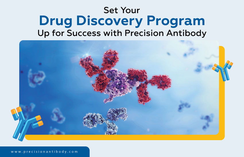 Set Your Drug Discovery Program Up for Success with Precision Antibody